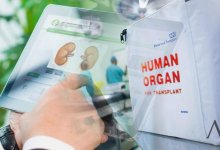 Трупное донорство в Казахстане: как распорядиться своими органами онлайн