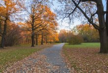 Погода без осадков ожидается по всему Казахстану 15 октября