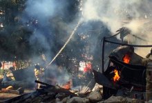 Пожар чуть не уничтожил лес в ущелье Ворота Туюк-Су близ Алматы