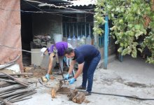 В Алматы члены Nur Otan помогают пожилым людям
