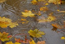 Дожди ожидаются в ряде регионов Казахстана 17 октября