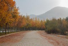 В Казахстане ожидается летняя погода