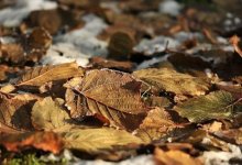 Гололед ожидается в ряде регионов Казахстана 21 октября