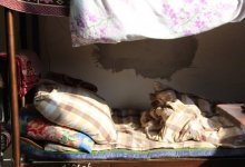 Jas Otan проверит состояние общежитий казахстанских вузов