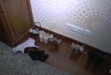 Несколько секс-притонов выявили в многоэтажке Алматы