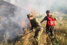 В ущелье Алма-Арасан произошел пожар на площади 1,5 га