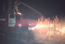 Около 700 овец заживо сгорели при пожаре в Кызылординской области