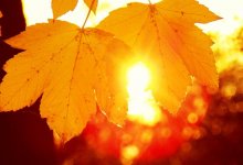 В Казахстане потеплеет