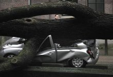 В Костанае отдел ЖКХ обязали выплатить ущерб автовладельцу