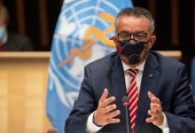 Глава ВОЗ самоизолировался
