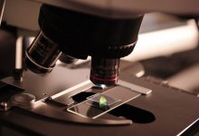 Ученые обнаружили новое заболевание и оценили вероятность умереть от него