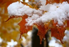 Снег и гололед ожидаются в ряде регионов Казахстана 4 ноября