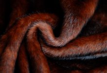 Ловушка в Instagram: женщина в Алматы «продавала» эксклюзивные шубы