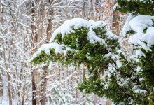 Какой будет погода в Казахстане в ноябре