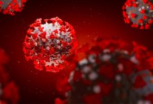 Более чем у 500 казахстанских школьников выявлен коронавирус