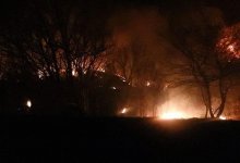 Пожар вспыхнул в горах Алматы. На месте работают 33 пожарных