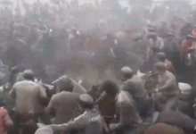 Кокпар с участием 200 человек остановили полицейские в Туркестанской области