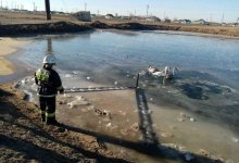 Спасатели ЗКО вызволили из ледового плена лебедей