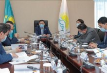 Политологи: предвыборная программа Nur Otan получилась амбициозной