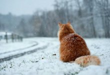 В девяти областях Казахстана объявили штормовое предупреждение