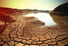 Глобальная засуха на Земле скоро станет необратимой