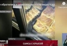 Крыса на самсе: санврачи Алматы нашли оскандалившийся киоск