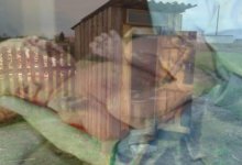 Аружан Саин рассказала, как остановить убийства детей в Казахстане