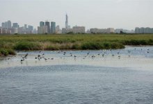 Кульгинов обещает сохранить озеро Малый Талдыколь