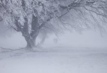 Снег и метель ожидаются в Казахстане