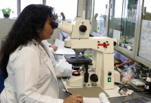 Журнал Science назвал главный научный прорыв 2020 года