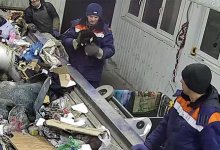 Мусорщик спас кота, который чуть не угодил в сепаратор