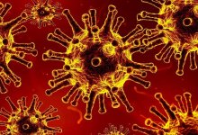 Новый пик заболеваемости коронавирусом прогнозируют эксперты