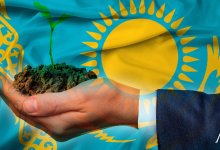 Эксперты оценили, как Правительство Казахстана поддерживает сельское хозяйство