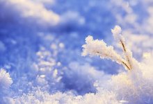 Снег ожидается практически на всей территории Казахстана