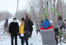 Nur Otan повысит туристический потенциал Тюлькубаса