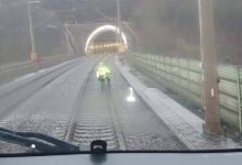 В Германии 23 поезда задержали из-за лебедя на железной дороге