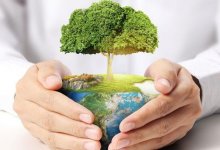 Пять простых способов жить более экологично в 2021 году