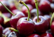 Полкило черешни продали за четыре миллиона тенге в Японии