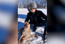 Пропагандой насилия над животными назвали фотографию Торегали Тореали в Минэкологии