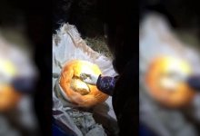 Три мешка наркотиков изъяли полицейские у мужчины в Жамбылской области