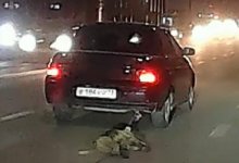 Житель Атырау привязал собаку к машине и протащил по дорогам города