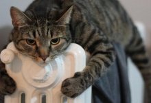 Коммунальщики объяснили рост счетов за тепло в Нур-Султане