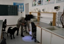 Служебных собак впустили в аудитории перед ЕНТ в Кокшетау