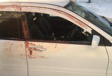 В Рудном полицейский раскрыл преступление с помощью чата в WhasApp