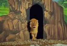 Как казахстанский львенок Симба проводит зиму в зоопарке Алматы