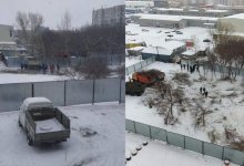 В Караганде вырубили деревья из-за ТРЦ. Аким объяснил, почему это случилось
