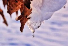 На юге и западе Казахстана потеплеет