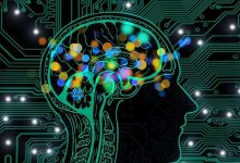 Как стать умнее? Есть 10 безотказных лайфхаков