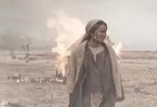 Казахстанский фильм может получить "Оскар"