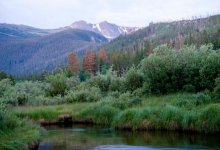 Неожиданный эффект от пандемии коронавируса зафиксировали ученые